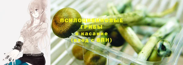 сатива Белокуриха